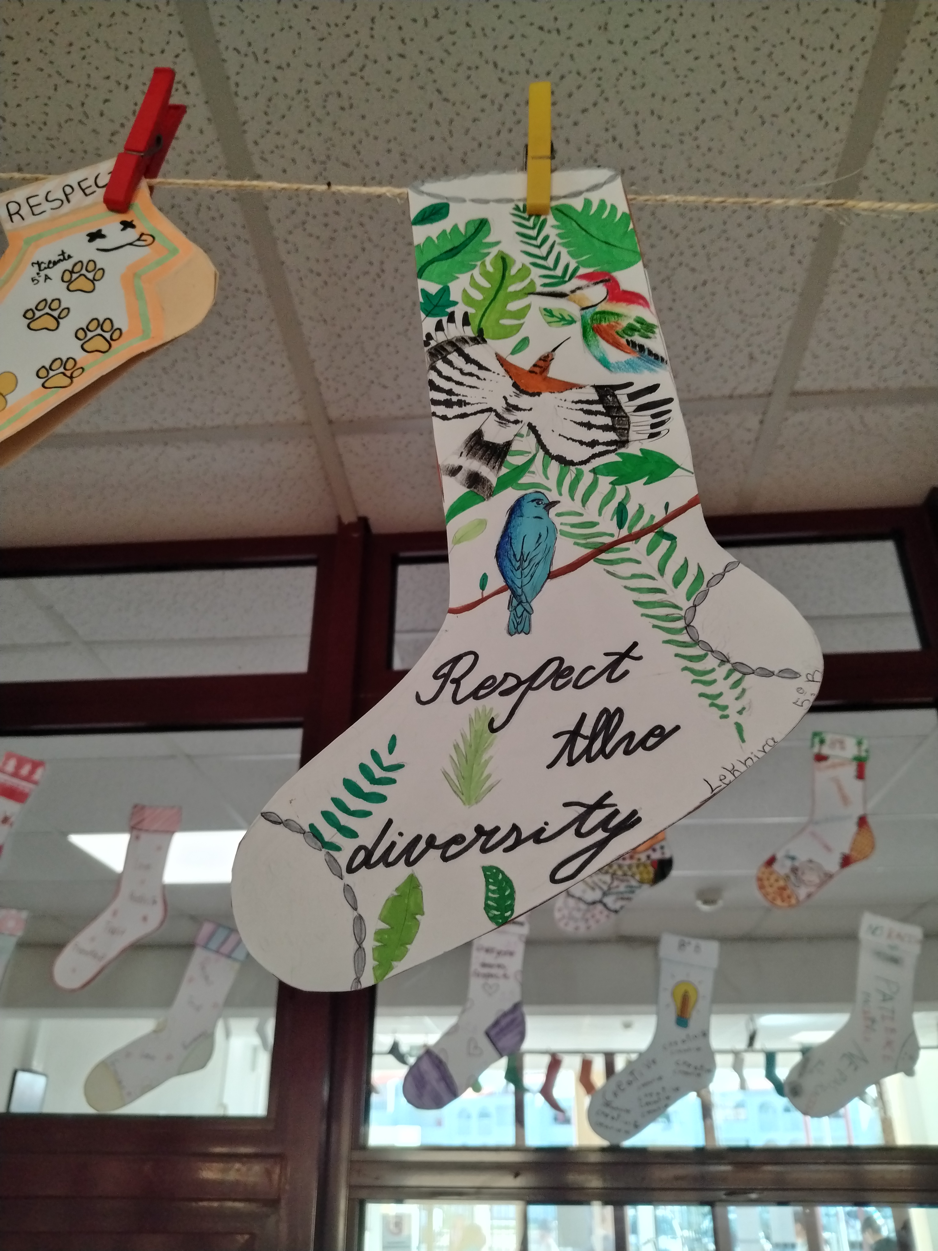 Anexo IMG_20241113_102231.jpg